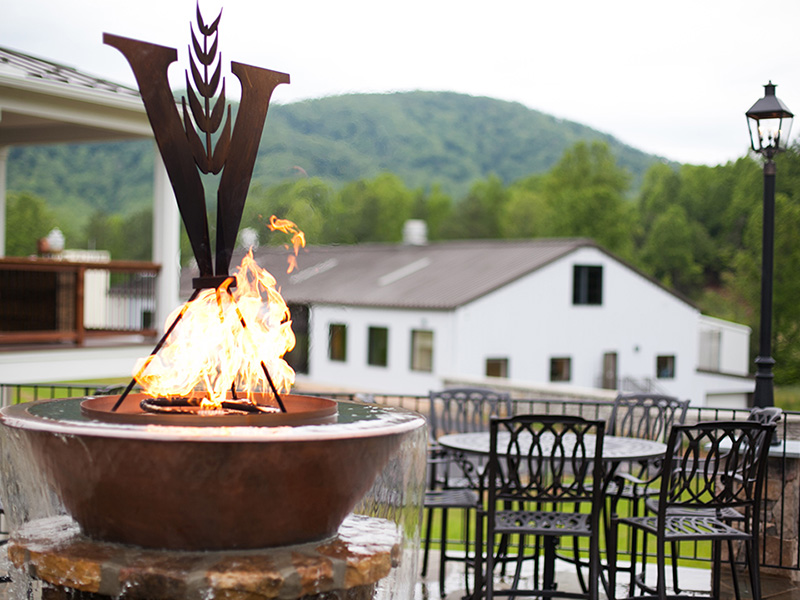 Virginia Distillery Company