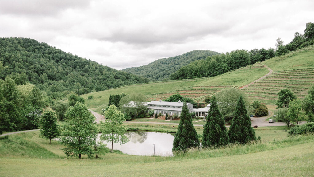Mountain & Vine Vineyards and Winery