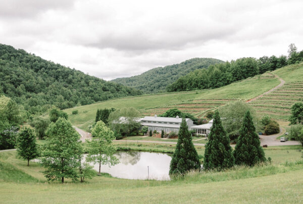 Mountain & Vine Vineyards and Winery