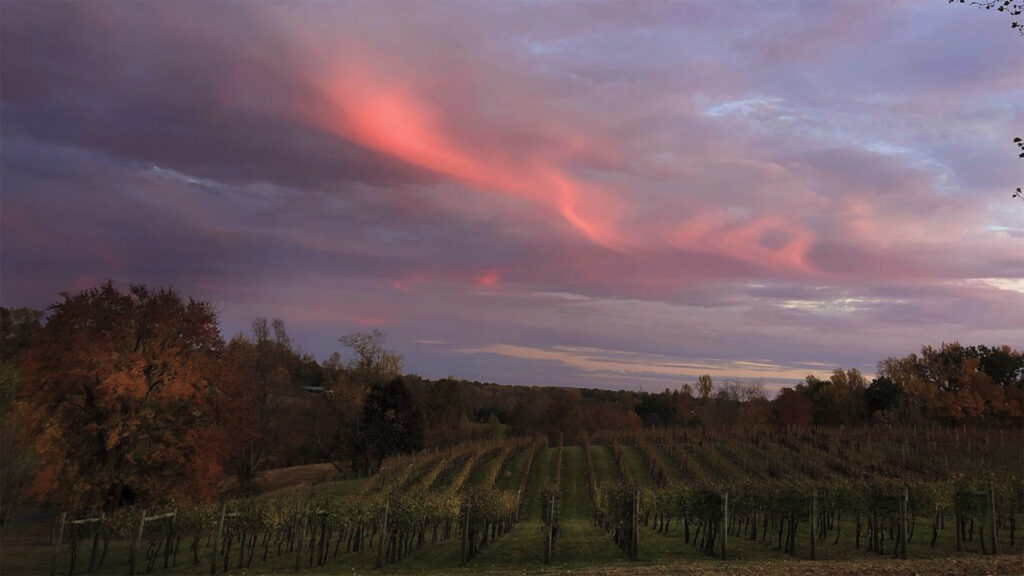 Lovingston Winery