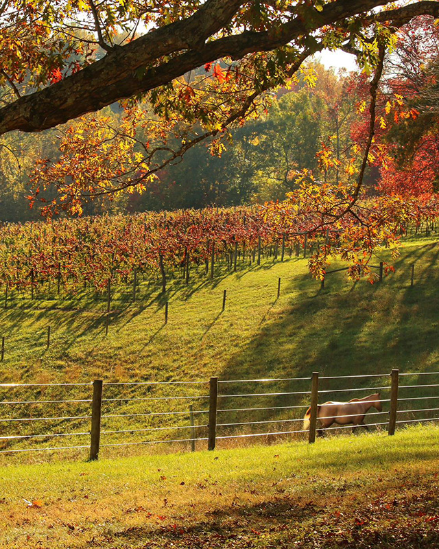Lovingston Winery