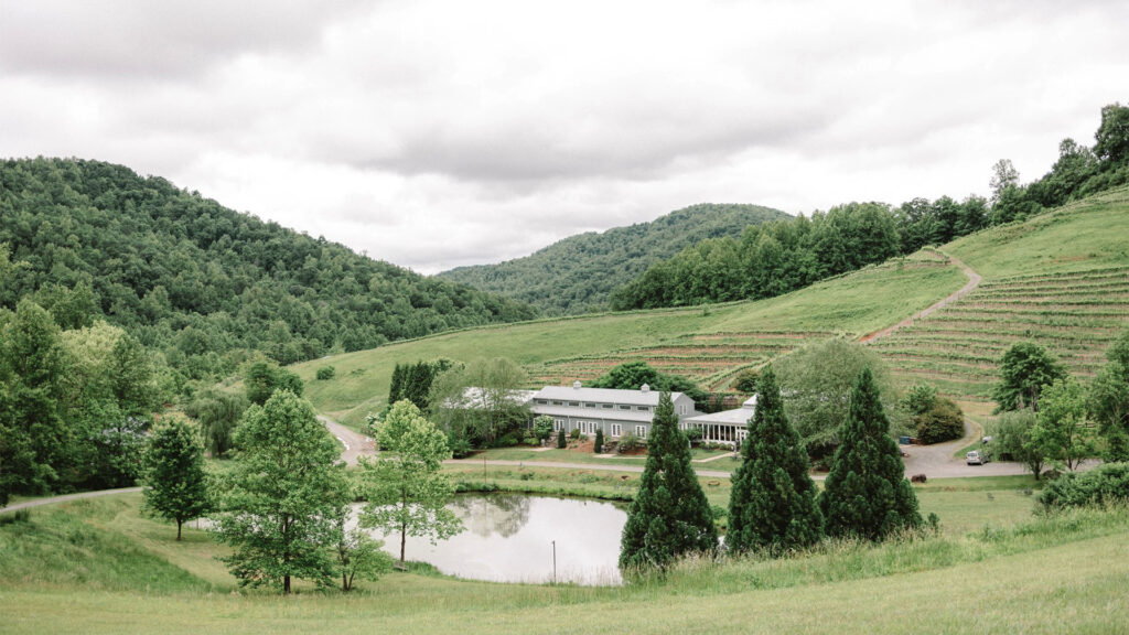 Mountain and Vine Vineyards